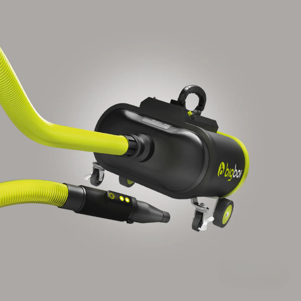 Bigboi BlowR Pro+ MKII Car Dryer
